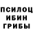 Галлюциногенные грибы Psilocybe tigran ayvazyan